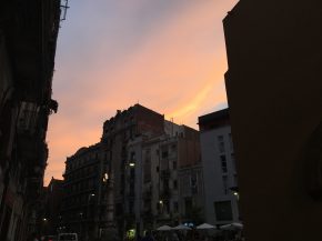 IMG_3804