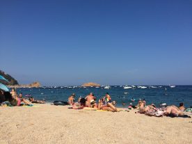 IMG_3835
